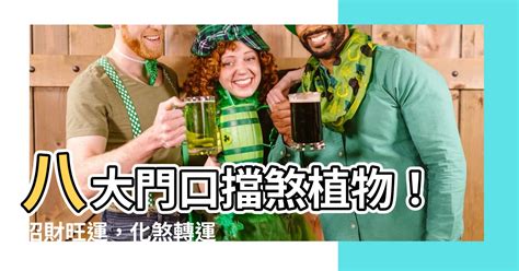 門口擋煞盆栽|大門口植物擺放攻略：化煞擋煞，打造旺宅風水 